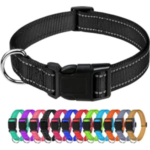 Anti-Strangling Reflective Adjustable Waterproof Nylon Dog Collar with Personalized Option Lights for Small Breed All Seasons