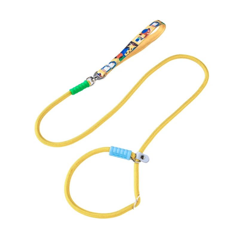 Anti pull Slip P Training Dog Leash Comfort No Choke Walking Rope for Small Medium Large Dogs Like Golden Retriever