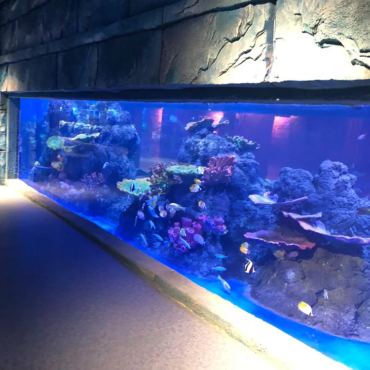Aquarium Custom High Transparency Crystal Bright Heavy Duty Acrylic Large Fish Tank Ocean World Scene