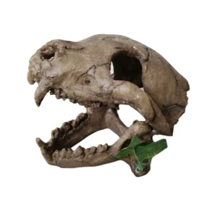Aquarium Decoration Terrarium Product Supplies Artificial Resin Bone like Skeleton Hide Cave Reptile Tank Decoration