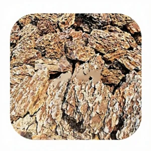 Aquarium Rocks Brown Ohko Dragon Stone for Living Room