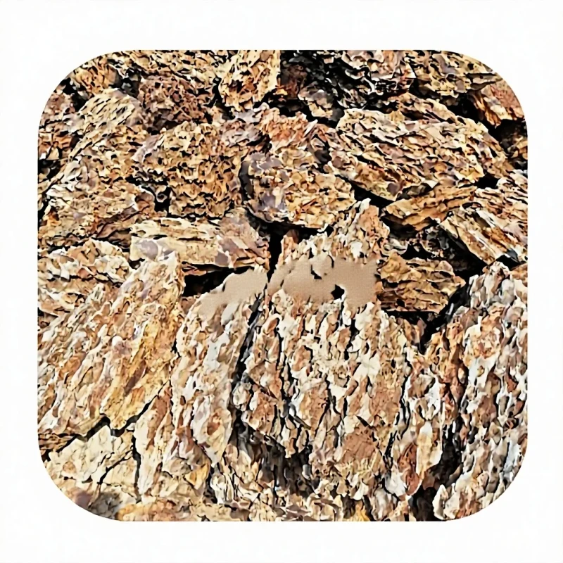 Aquarium Rocks Brown Ohko Dragon Stone for Living Room