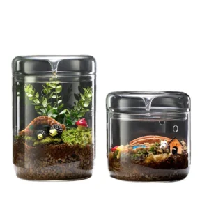 Aquarium Terrarium Glass Vases Various Size Terrarium Glass Containers for Plants Glass Jars With Lids