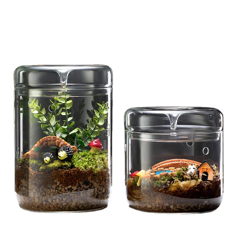 Aquarium Terrarium Glass Vases Various Size Terrarium Glass Containers for Plants Glass Jars With Lids