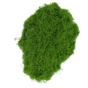 Artificial Dried Green Moss for Aquarium Tank Decoration 50g 100g 500g