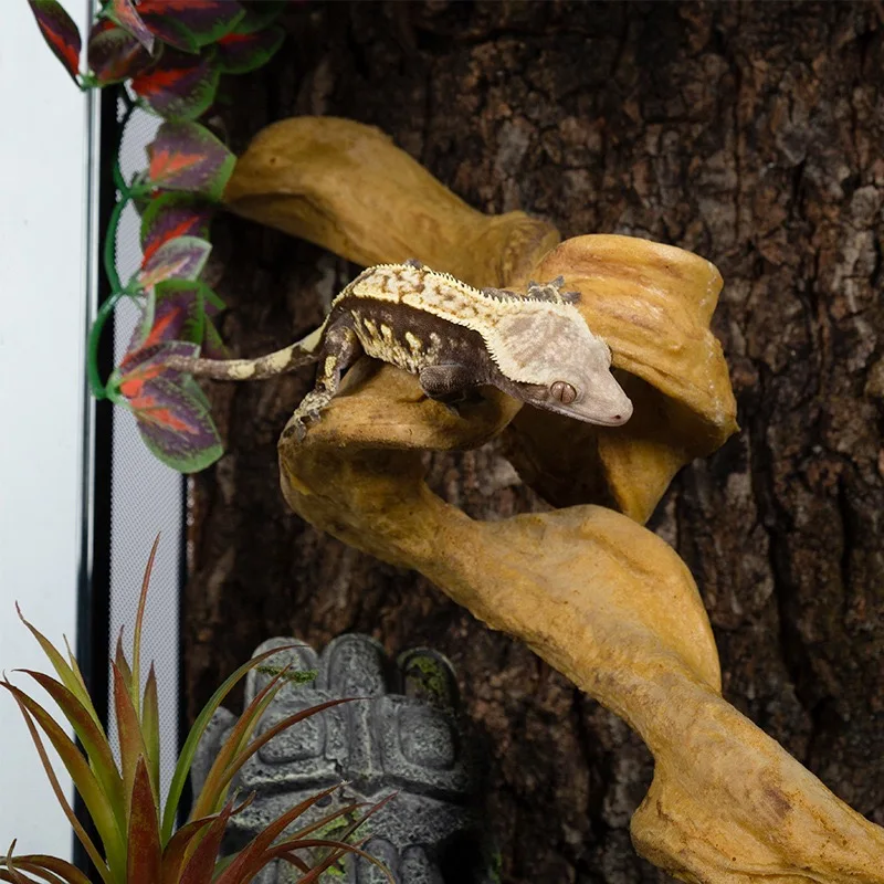 Artificial Reptile Plants Durable Safe Decor for Lizards & Tree Frogs in Terrariums Pet Toys