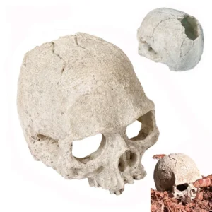 Artificial Skeleton Decoration Aquarium Skull Decor Cave Reptile Hide House Fish Tank Decorative Skulls