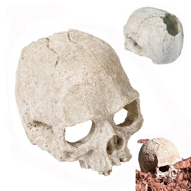 Artificial Skeleton Decoration Aquarium Skull Decor Cave Reptile Hide House Fish Tank Decorative Skulls
