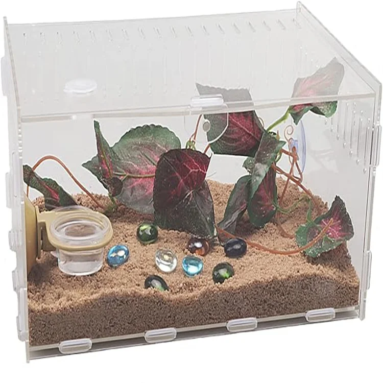 Assemble Simple Applicable Range Wide Acrylic HD Reptile Ornamental Cage Transparent Reptile Feeder for Scorpion Lizard