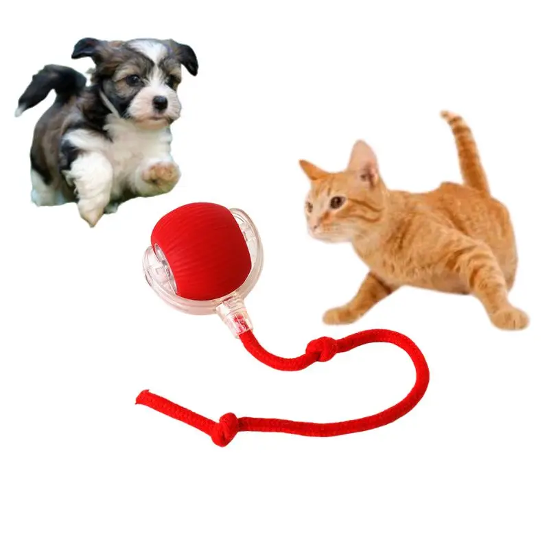 Automatic Interactive Eco Friendly Pet Ball Enhancing Playtime for Dogs