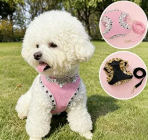 Autumn and Winter Cute Pet Harness Leash Fleece Warm Dog Vest Harness Adjustable Cat Harness Set