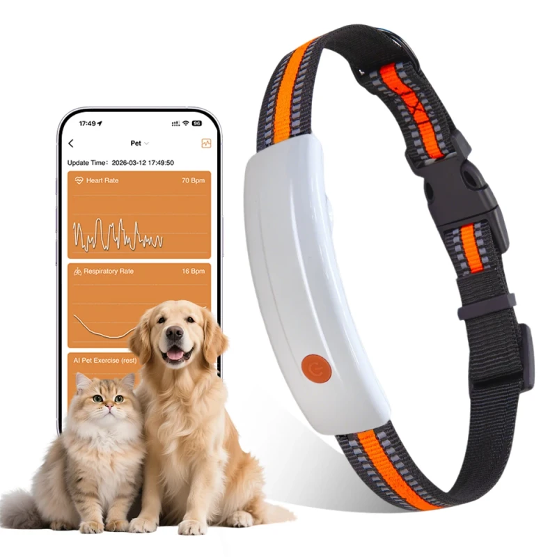 BCG Technology Movement Tracking Activity Monitoring LED Function Indoor Pet Anti Lost GPS Pet Tracker Collar