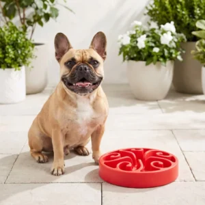 BPA Free Food Grade Silicone Slow Feeder with Strong Suction Base Healthy Digestion Pet Bowl for Fast Eaters Dishwasher Safe