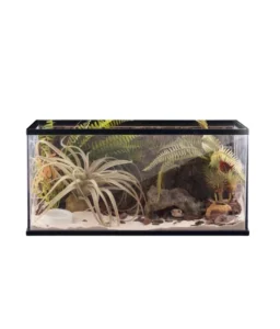 Barbarous BG Growth ZJDS G Reptile Pets Will Choose This Glass Terrarium Cage Turtle Reptile Terrarium Glass