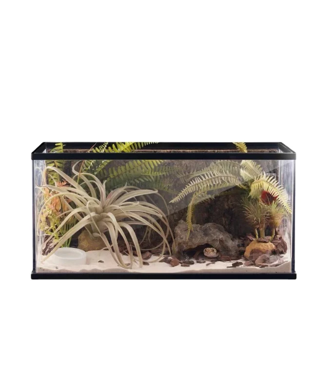 Barbarous BG Growth ZJDS G Reptile Pets Will Choose This Glass Terrarium Cage Turtle Reptile Terrarium Glass