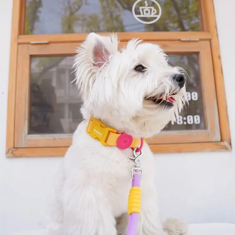 Beige Pet Dog Collar PU Material Solid Pattern Buckle Closure cat and Dog Collar for Small and Medium sized Dogs and Cats