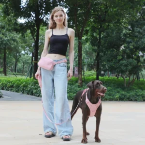 Best Seller Waterproof Dog Harness Pet Products Dog Harness Mesh Small Dogs Collar and Leash Harness 5 PCS Set