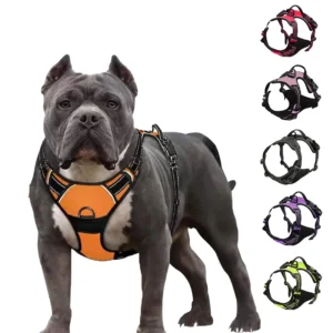 Big Dog Luxury Velvet Harness Reflective Adjustable Chest Strap for Large Dogs for Pet Training and Walking