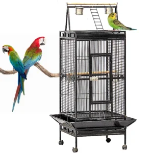 Big Space Black Stainless Steel Metal Iron Parrot Canary Budgie Pet Bird Cage with Wheels