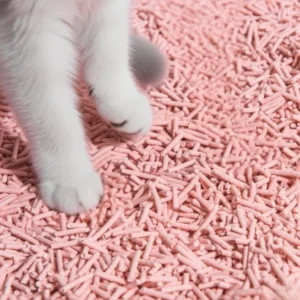 Biodegradable Tofu Clumping Cat Litter Eco Friendly Dust Free Natural Lightweight with Low Tracking for Easy Flush