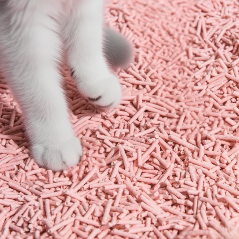 Biodegradable Tofu Clumping Cat Litter Eco Friendly Dust Free Natural Lightweight with Low Tracking for Easy Flush