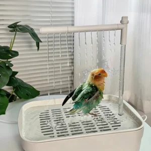 Bird Bowl Plastic Eco Friendly Portable Outdoor Use Water Dispenser for Parrots Grooming Accessories