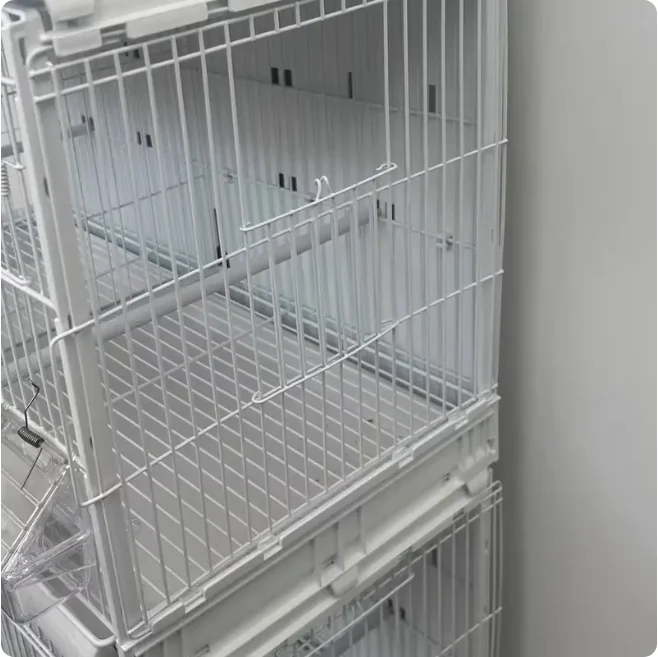 Bird Cage Accessories Pet Plastic Product Accessories for Fly Birds Parrots Canaries Budgies Durable and Safe Toy Perch