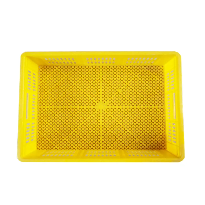 Bird Egg Incubator PP Small Sized Plastic Hatching Basket with Automatic Turning 220V 95% Hatching Rate for Accessories