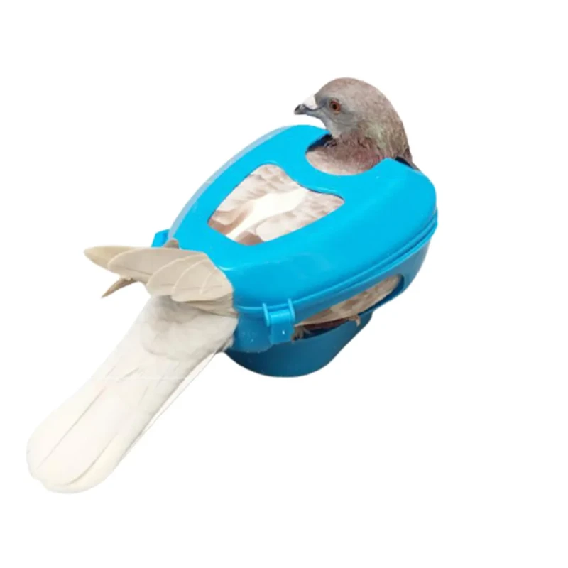 Bird Fixed Device Blue Pigeon Utensil Products Adult Pigeons Feeer Feed Rack Plastic Bundle Pigeons