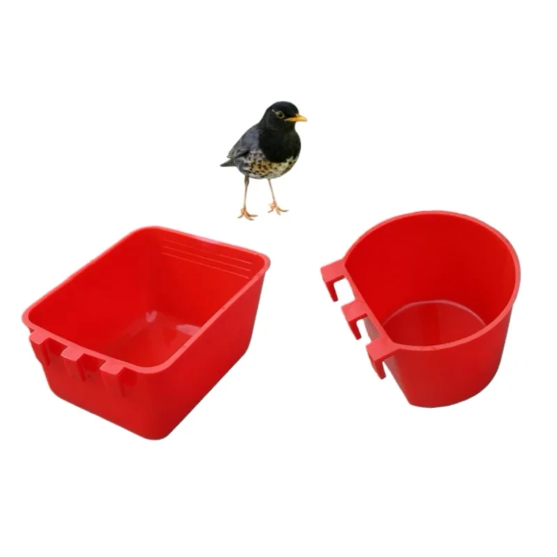 Bird Food Box with Adjustable Seed Dispenser for Small to MediumSized Birds
