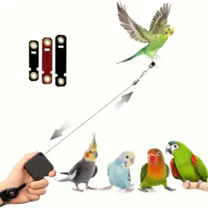 Bird Foot Rings & Clips for Parrots Stretch Resistant Anti Bite Harness PU Material All Seasons Outdoor Flight Training
