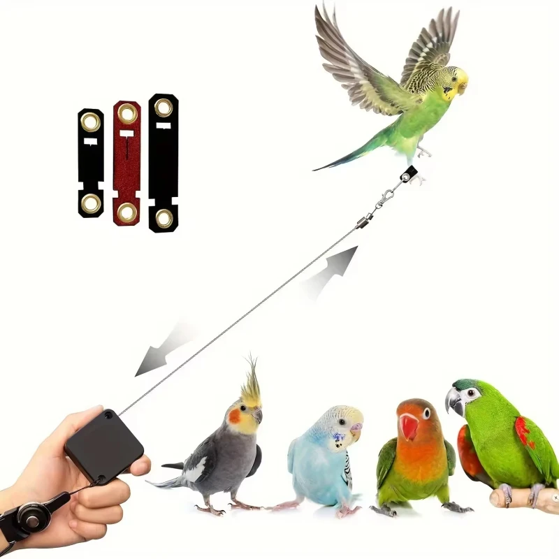 Bird Foot Rings & Clips for Parrots Stretch Resistant Anti Bite Harness PU Material All Seasons Outdoor Flight Training