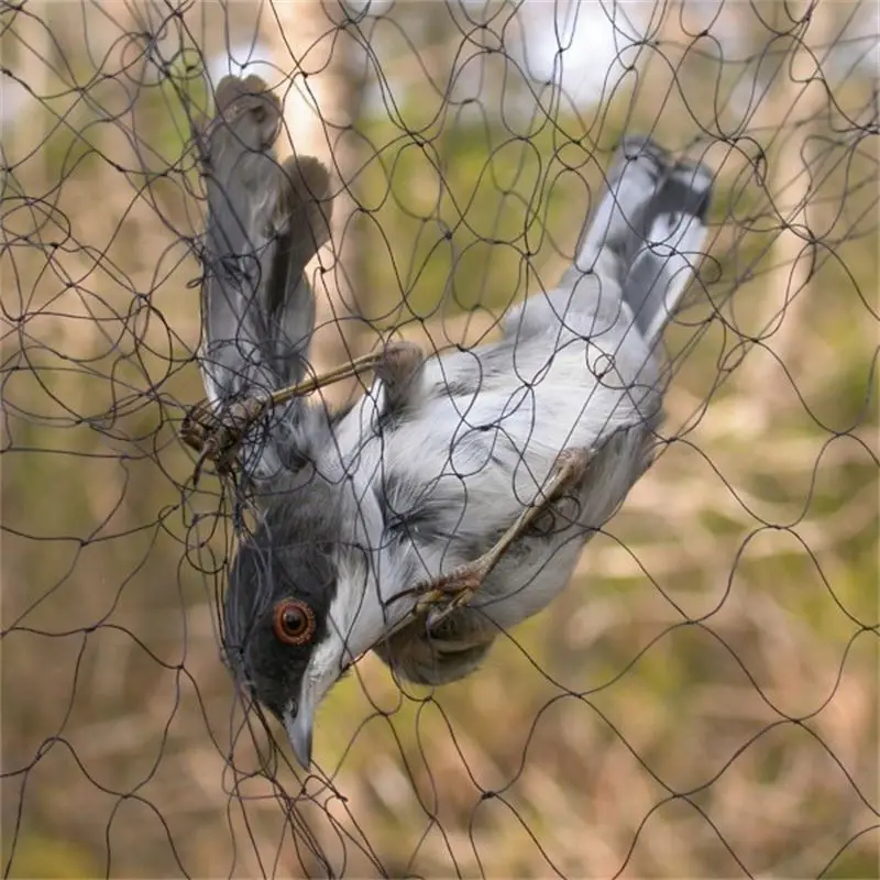 Bird Hunting Things