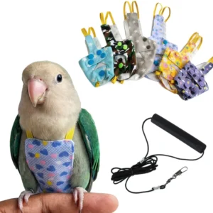 Bird Parrot Flying Polyester Rope Leash Outdoor Bird Walking Elastic for Budgerigar Cockatiel Lovebird Supplies Flight
