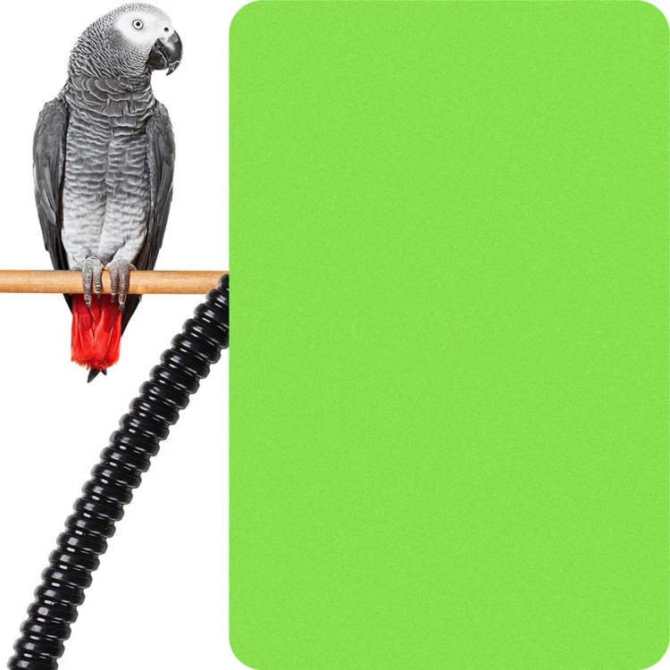 Bird Supplies Eco Friendly Bite Resistant Aluminium Alloy Bird Perch Cage Accessories Bird Warmer Electric Heater