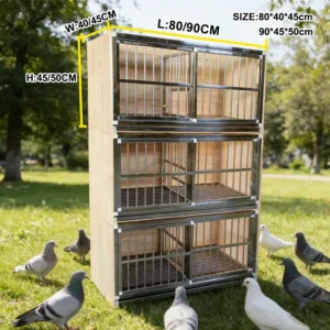 Bird Supplies Stainless Steel Eco Friendly Racing Pigeon Cage Easy Assembled Stainless Steel and Wooden Pigeon Breeding Cage