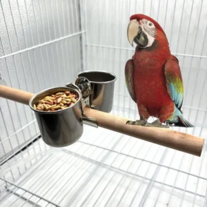 Bird Supplies Stainless Steel Parrot Hamster Anti-bite Fixable Bird Food Cup Clipper for Bird Cage