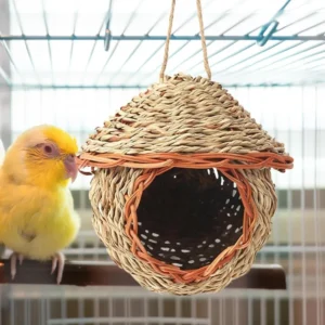 Birdhouses for Outdoors Bird House for Pet Bird