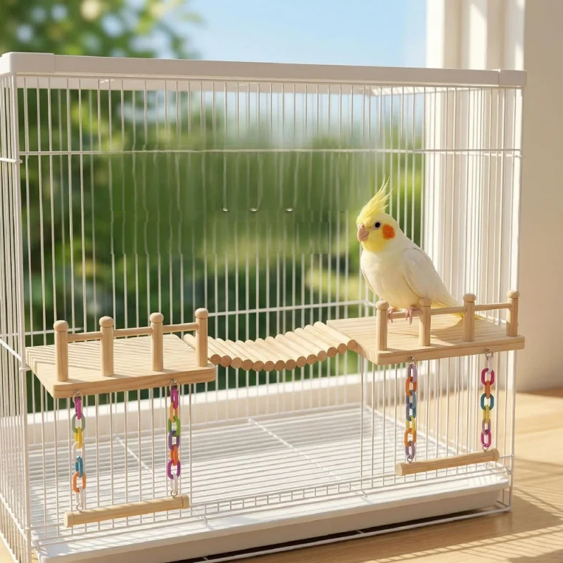 Birds roost play create scenes entertain gnaw climb swing rings ladders and toys