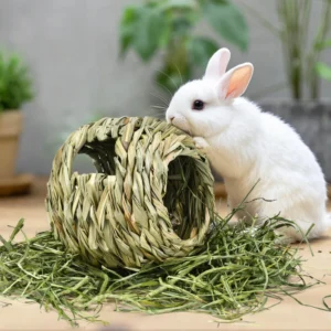 Birdstory Meric Hideaway Eco Friendly Seagrass Tunnel Small Pet Chew Toy 17*17cm for Hamsters Rabbits Guinea Pigs
