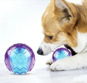 Boredom Relief Squeaky Ball Dog Toy Interactive Durable and Chew Resistant Pet Toy with Sound to Relieve Pet Boredom