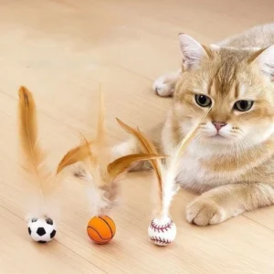 Bouncing Cat Balls with Feather