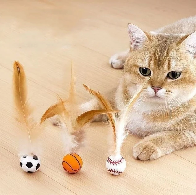 Bouncing Cat Balls with Feather
