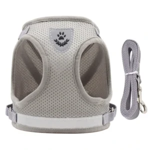 Breathable Eco Friendly Polyester Reflective Vest Leash and Harness Combo with Buckle Closure for Small Medium Dog Breeds