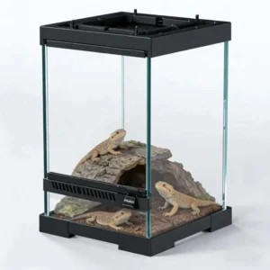 Breathable Large Glass Eco Friendly Durable Modern Reptile Tank Custom Enclosure for Lizards Horned Frogs Spiders & Geckos