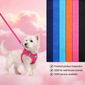 Breathable Mesh Dog Harness Custom Adjustable Pet Collars Leashes Harnesses for Small Medium Dogs Daily Walking Night Safety