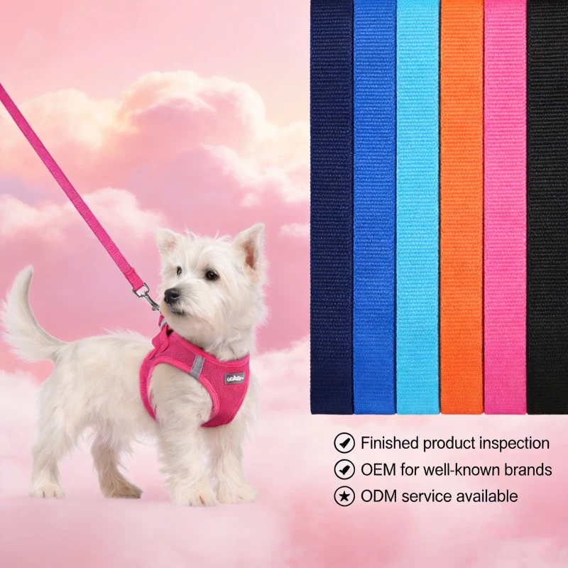 Breathable Mesh Dog Harness Custom Adjustable Pet Collars Leashes Harnesses for Small Medium Dogs Daily Walking Night Safety