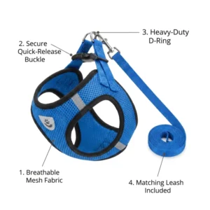 Breathable Polyester D Ring Leash Set Adjustable Walking Collar Custom Pet Harnesses for Comfortable Control