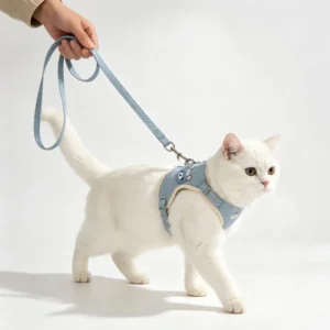Breathable Reflective Nylon Pet Harness for Small Dogs and Cats Adjustable Cartoon Bear Pet Vest