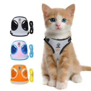 Breathable Reflective Vest Style Pet Harness No Choke Comfort for Bichon Frise Small Outdoor Walking Dog Harness and Leash Set